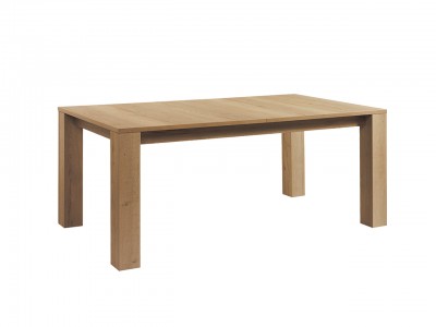 TABLE 180 x 100