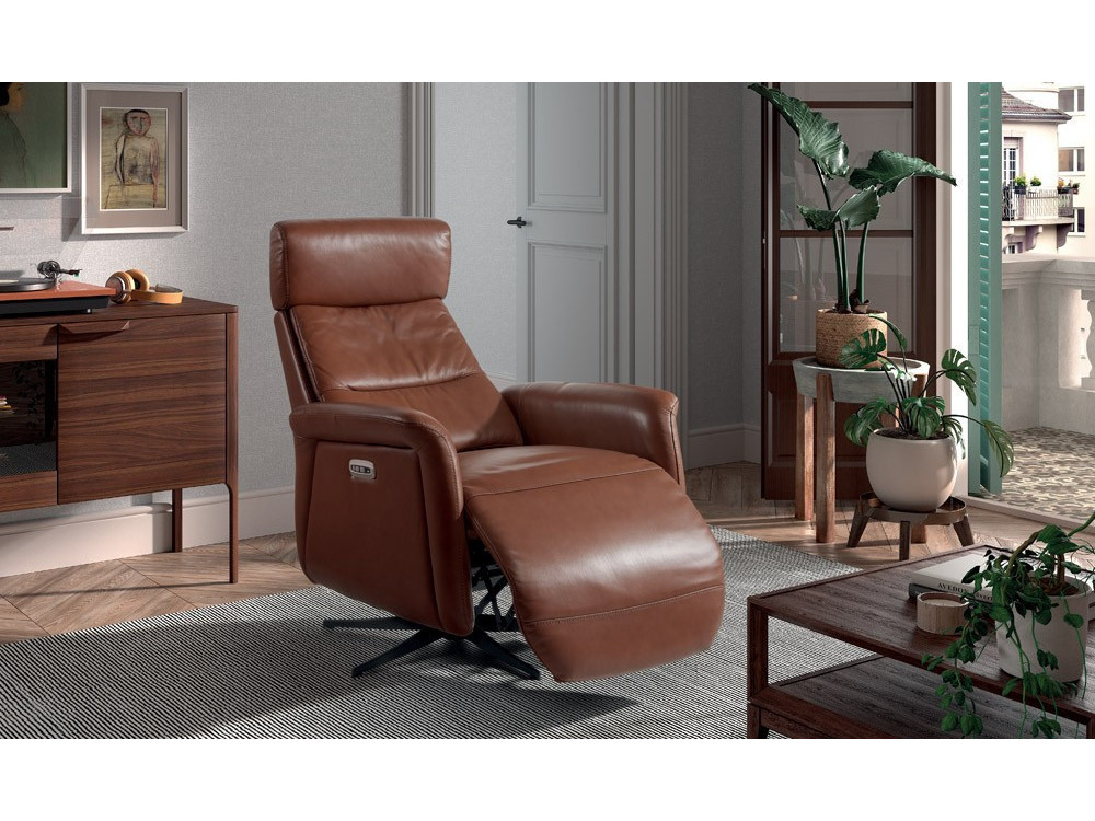 DIANA - Fauteuil relaxation 2 moteurs  