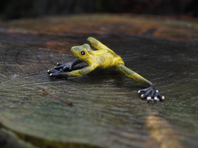 Grenouille verte - Statue en bronze