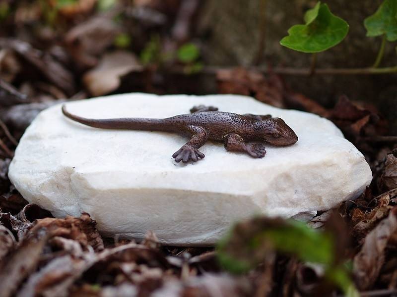 Statue en bronze : Lézard