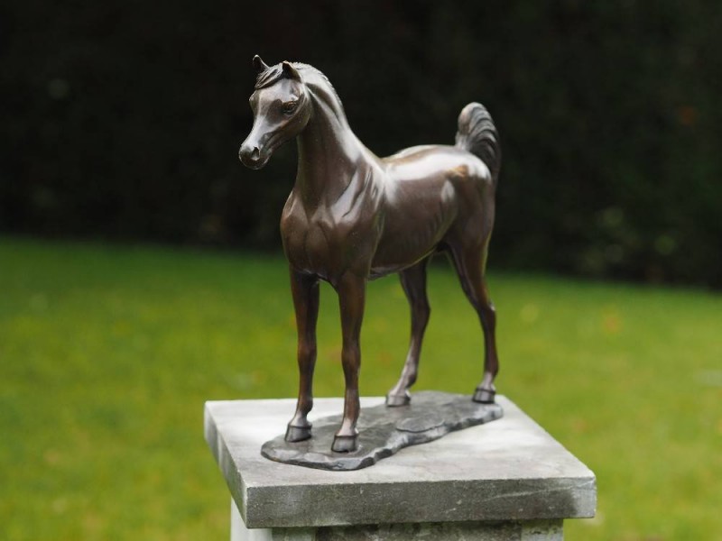 Statue en bronze : Cheval Pur Sang Arabe