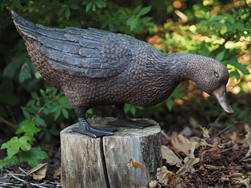 Statue en bronze : Canard