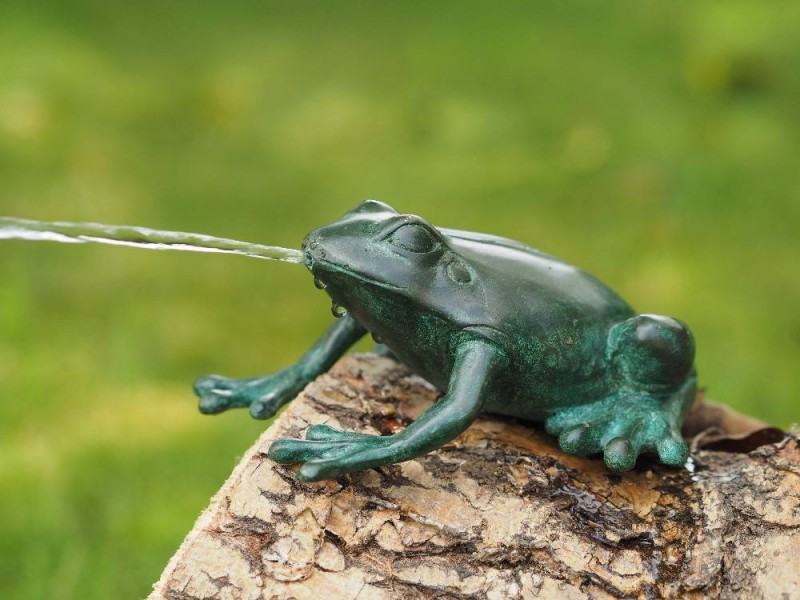 Statue en bronze : Grenouille Fontaine