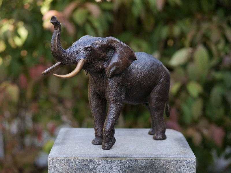 Statue en bronze : Elephant avec Défenses