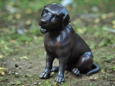 Sculpture Bronze "Petit Labrador" – Un Hommage à la Fidélité